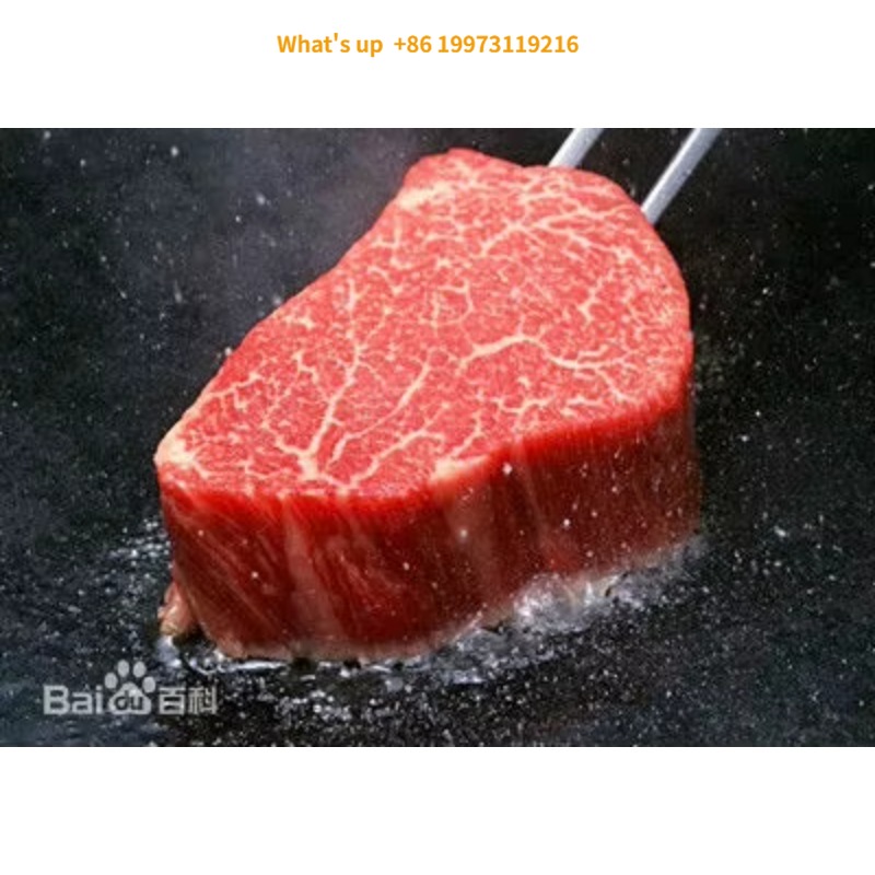 2026 반자동 고기 연화기, 고기 연화 기계 - Meat Tenderizer Machine Electric 리뷰 및 가격