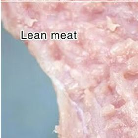 상업용 전기식 고기 연육기 (주방 장비용) - Meat Tenderizer Machine Electric 리뷰 및 가격